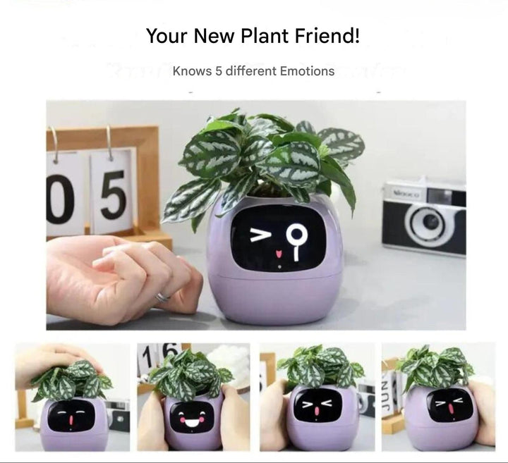GreenBuddy SmartPot - Automatic Smart Planter-Green-State of Style