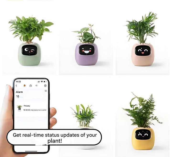 GreenBuddy SmartPot - Automatic Smart Planter-Green-State of Style