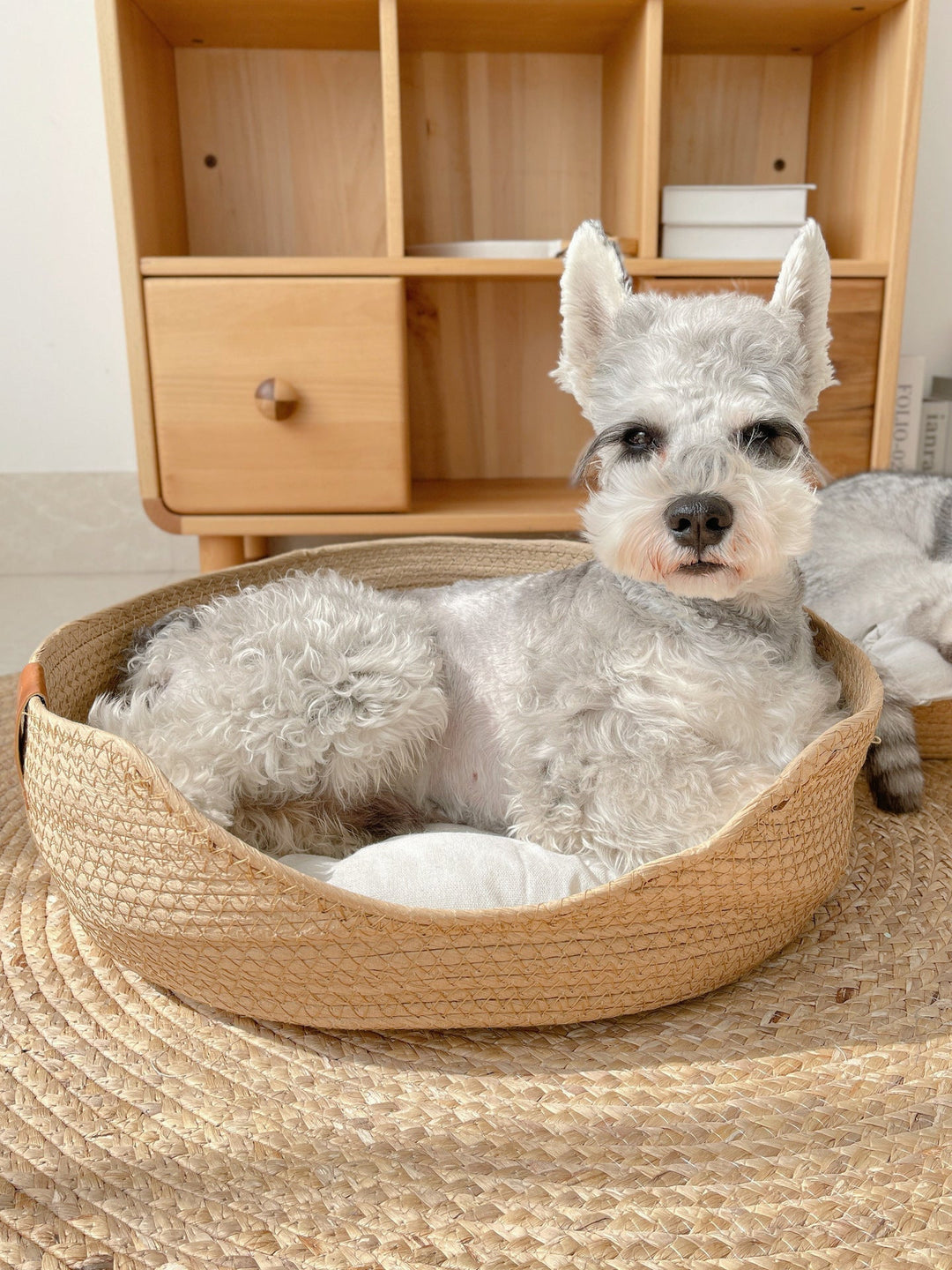 Handmade Comfortable Bed for Cats - LuxeSnooze-Man-S-State of Style