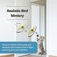 Interactive Cat Toy for Fun and Exercise - FeatherFlight™-Parrot-State of Style