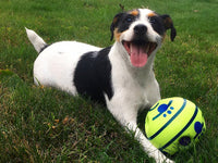 Interactive Dog Ball - GiggleSphere-State of Style