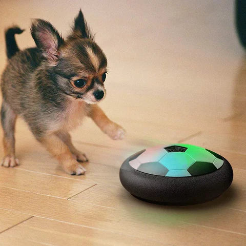 Interactive Football Toy for Dogs - PlayBall Pro-State of Style