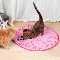 Interactive Moving Toy for Cats – WhiskRoll-Pink-State of Style