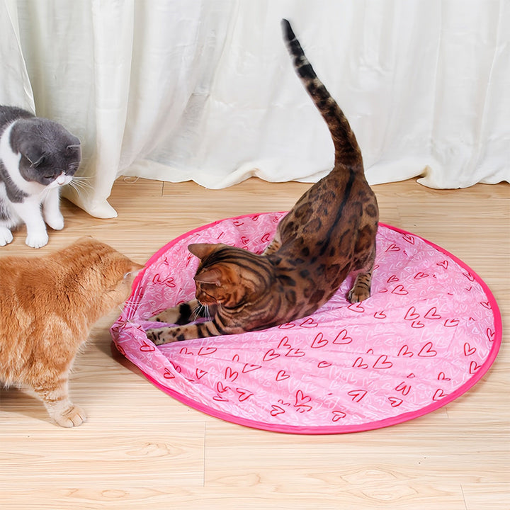 Interactive Moving Toy for Cats – WhiskRoll-Pink-State of Style