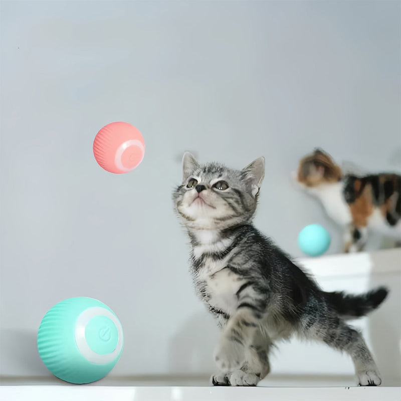 Interactive Moving Toy for Cats – WhiskRoll-Pink-State of Style