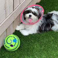 Interactive Play Ball for Dogs - GiggleSphere-State of Style
