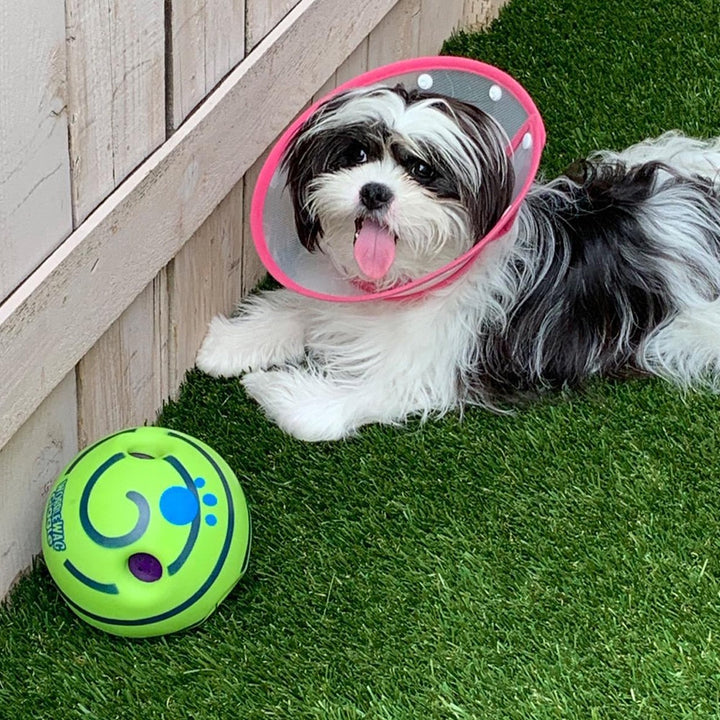 Interactive Play Ball for Dogs - GiggleSphere-State of Style