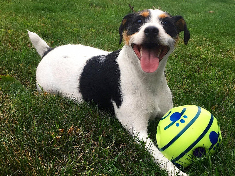 Interactive Play Ball for Dogs - GiggleSphere-State of Style