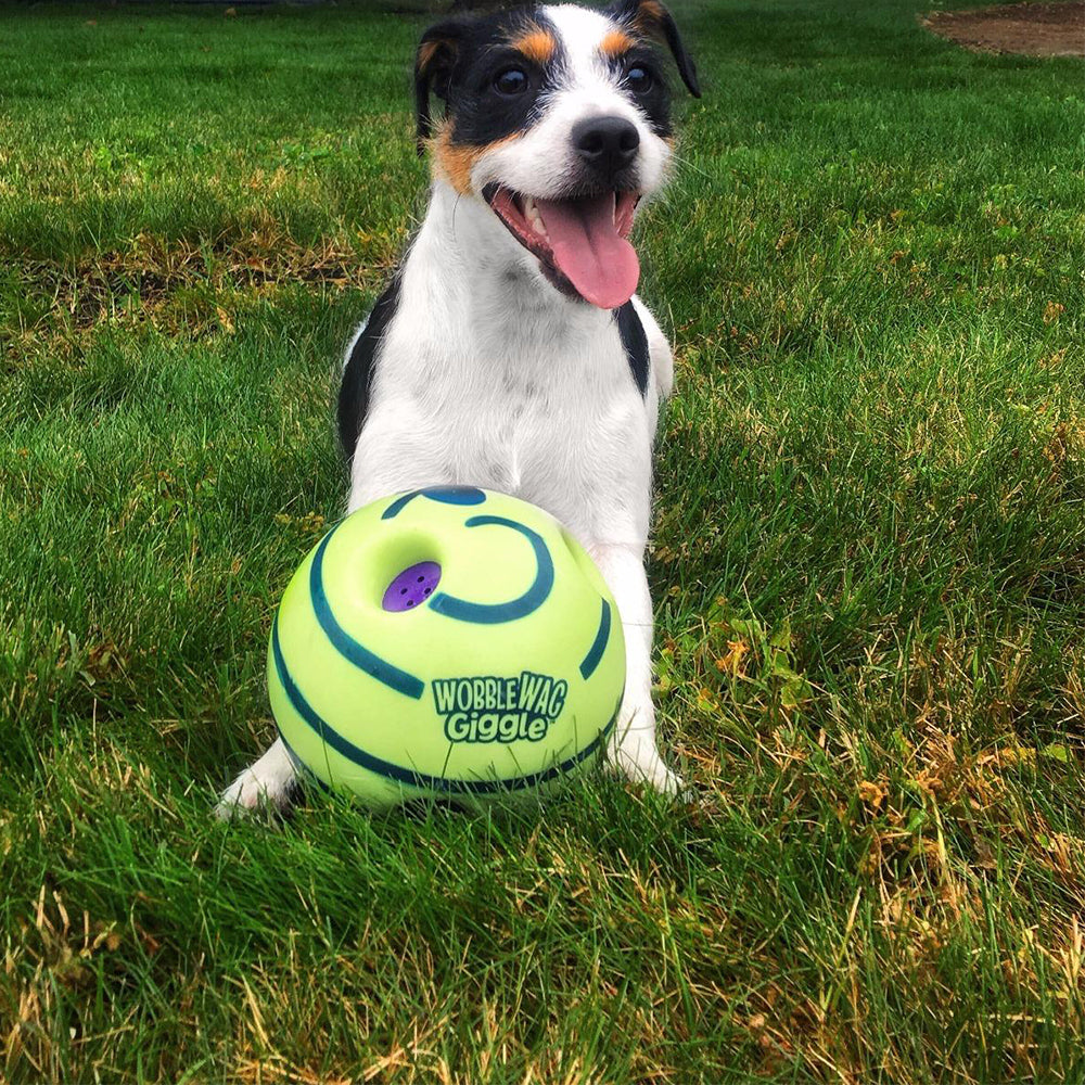 Interactive Play Ball for Dogs - GiggleSphere-State of Style