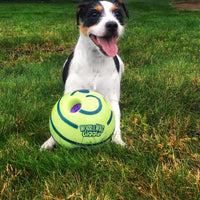 Interactive Play Ball for Dogs - GiggleSphere-State of Style