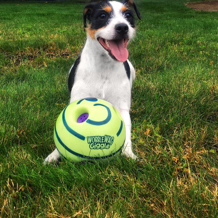 Interactive Play Ball for Dogs - GiggleSphere-State of Style
