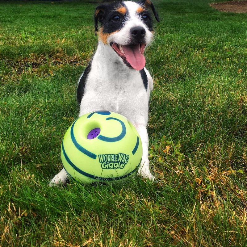 Interactive Play Ball for Dogs - GiggleSphere-State of Style