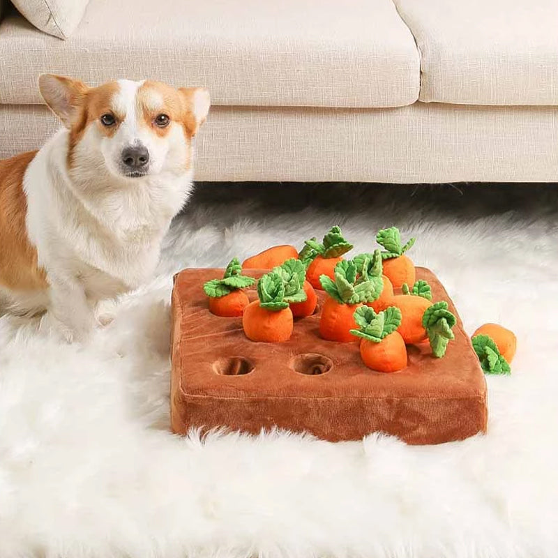 Interactive Snuffle Toy - Sniffer's Carrot Garden-State of Style