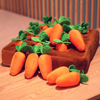 Interactive Snuffle Toy - Sniffer's Carrot Garden-State of Style