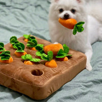 Interactive Snuffle Toy - Sniffer's Carrot Garden-State of Style