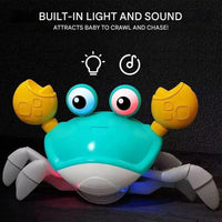 Interactive crawling toy with movement and music - Scratchy Crab