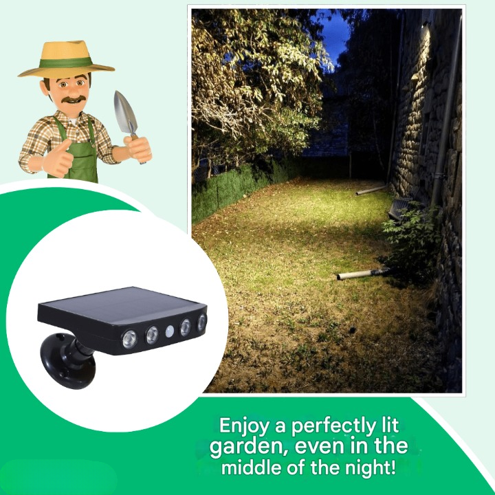 Solar outdoor light with motion sensor – Lumina