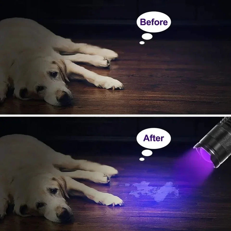 LED UV ZAKLAMP - ULTRAVIOLET INSPECTIELAMP VOOR HUISDIER URINEVLEKKEN EN STAIN DETECTIE-SK68 Kleine Zaklamp-State of Style