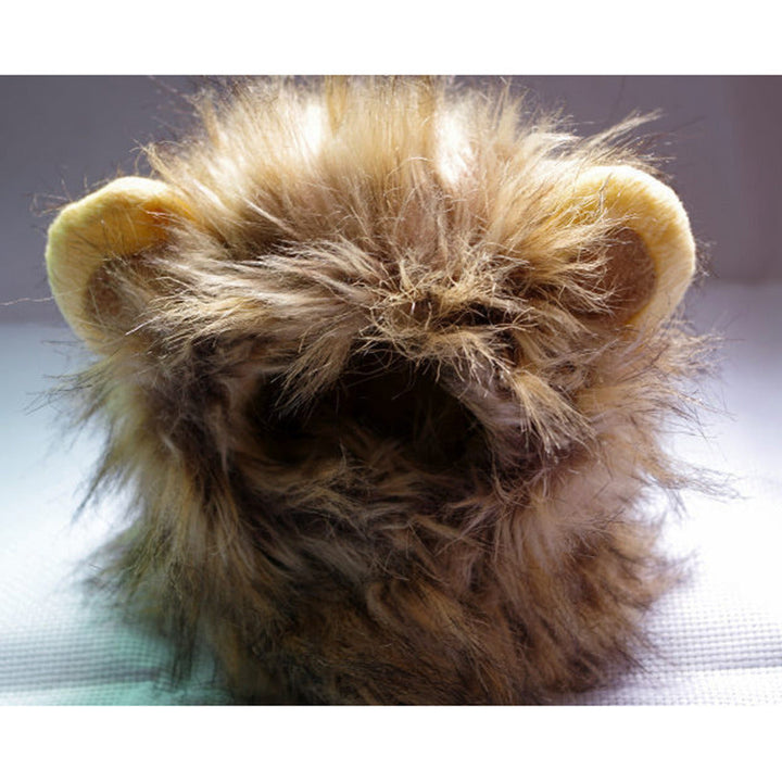 Lion manes for your cat - LionPaws-State of Style
