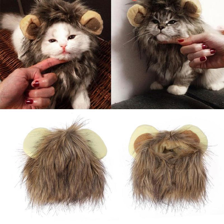 Lion manes for your cat - LionPaws-State of Style