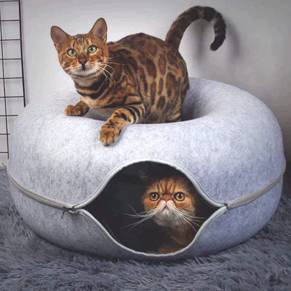 Luxe Cat Bed and Playhouse - WhiskerNest-Black-State of Style