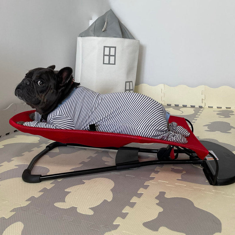 Luxury Dog Rocking Chair - Swingo-Red-State of Style