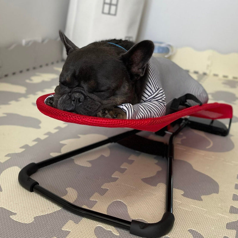 Luxury Dog Rocking Chair - Swingo-Red-State of Style