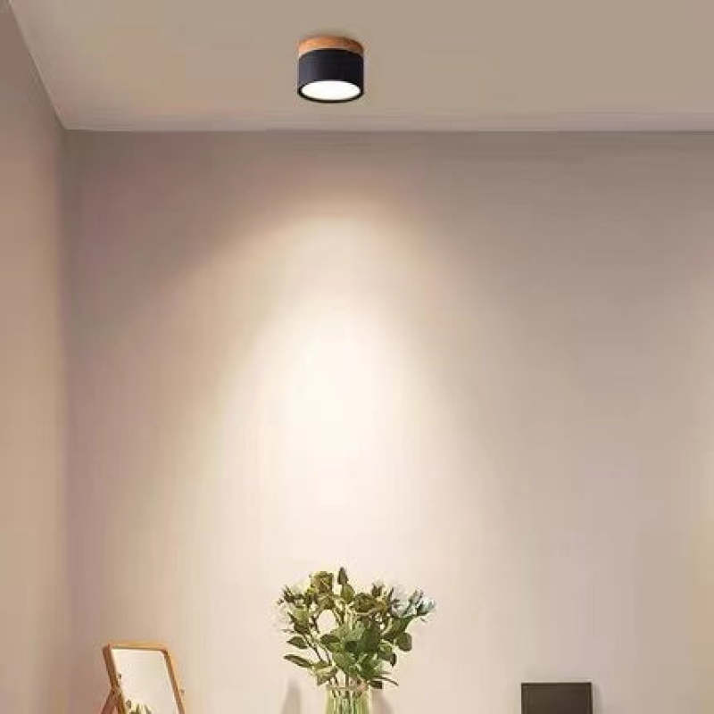 Morandi Style Modern LED Ceiling Lamp - LumiModo-Black-5W-Warm white-State of Style