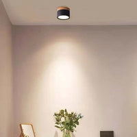 Morandi Style Modern LED Ceiling Lamp - LumiModo-Black-5W-Warm white-State of Style
