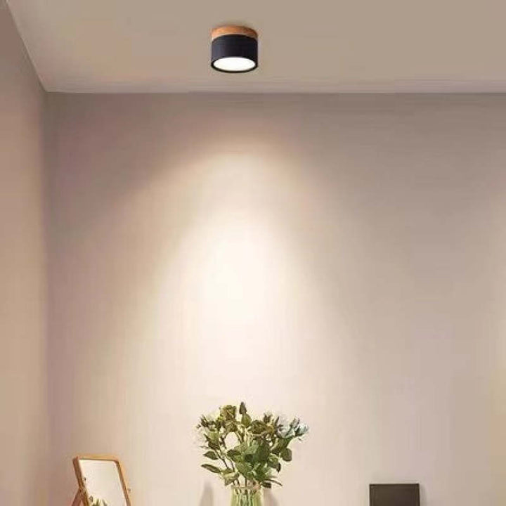 Morandi Style Modern LED Ceiling Lamp - LumiModo-Black-5W-Warm white-State of Style