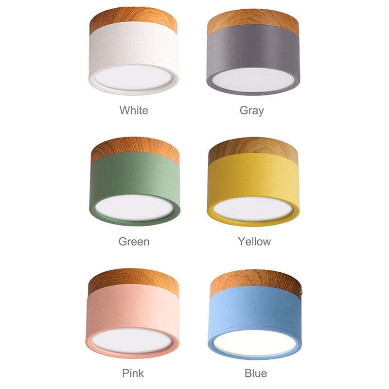 Morandi Style Modern LED Ceiling Lamp - LumiModo-Blue-5W-Warm white-State of Style