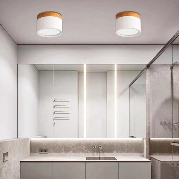 Morandi Style Modern LED Ceiling Lamp - LumiModo-Blue-5W-Warm white-State of Style