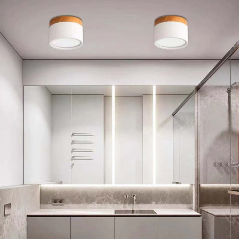 Morandi Style Modern LED Ceiling Lamp - LumiModo-Blue-5W-Warm white-State of Style