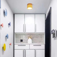 Morandi Style Modern LED Ceiling Lamp - LumiModo-Blue-5W-Warm white-State of Style