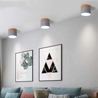 Morandi Style Modern LED Ceiling Lamp - LumiModo-Blue-5W-Warm white-State of Style