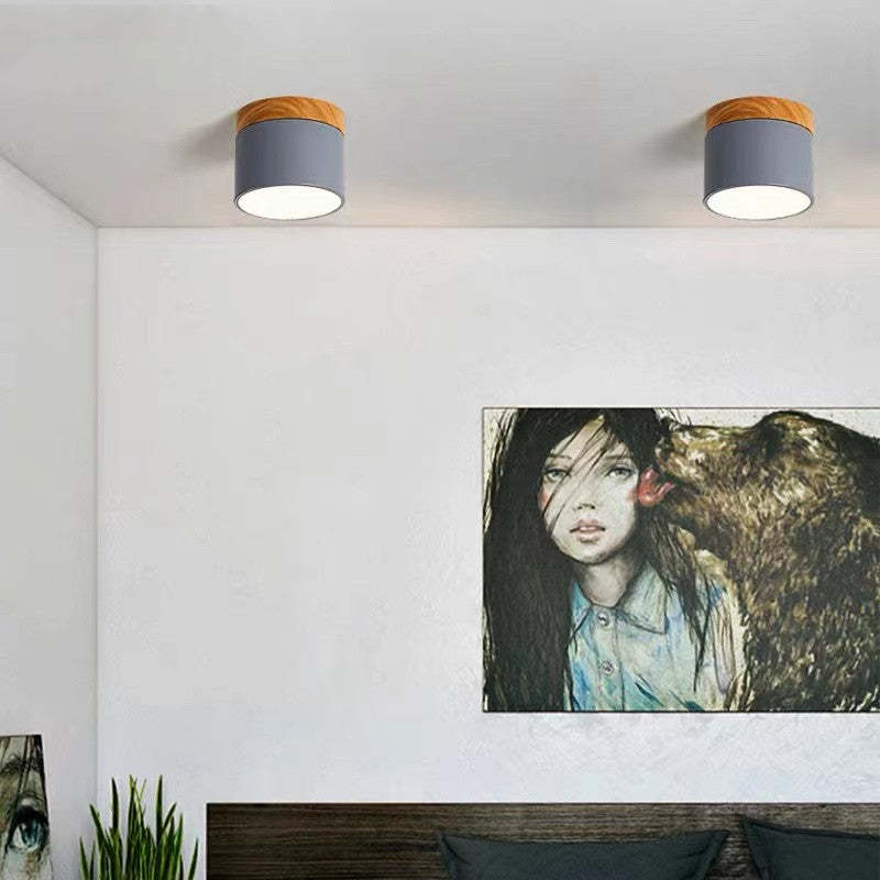 Morandi Style Modern LED Ceiling Lamp - LumiModo-Blue-5W-Warm white-State of Style