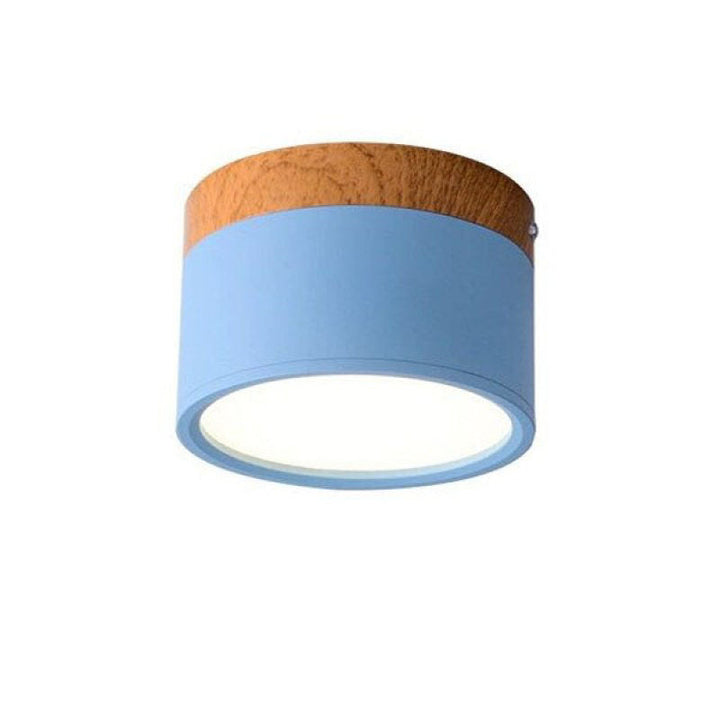 Morandi Style Modern LED Ceiling Lamp - LumiModo-Blue-5W-Warm white-State of Style