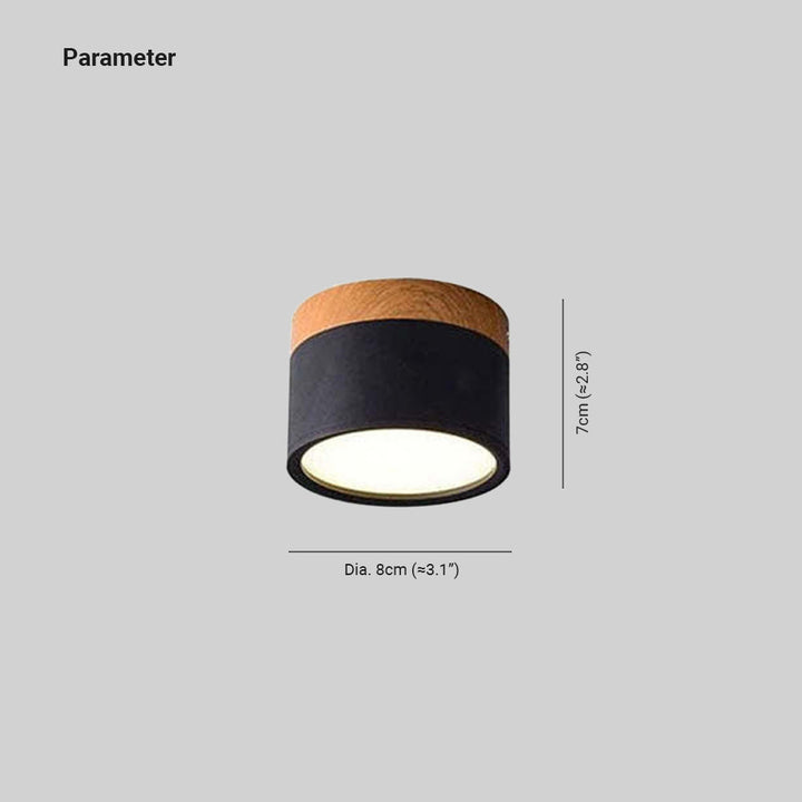 Morandi Style Modern LED Ceiling Lamp - LumiModo-Blue-5W-Warm white-State of Style