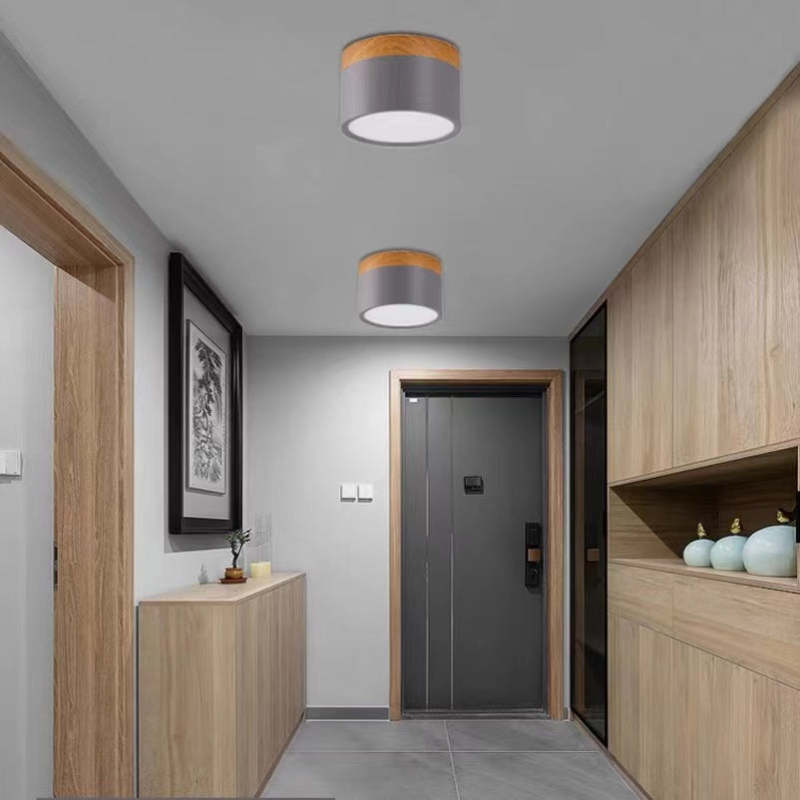 Morandi Style Modern LED Ceiling Lamp - LumiModo-Blue-5W-Warm white-State of Style