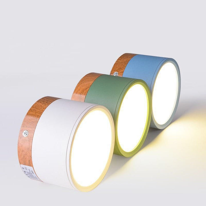 Morandi Style Modern LED Ceiling Lamp - LumiModo-Blue-5W-Warm white-State of Style