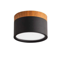 Morandi Style Modern LED Ceiling Lamp - LumiModo-Blue-5W-Warm white-State of Style