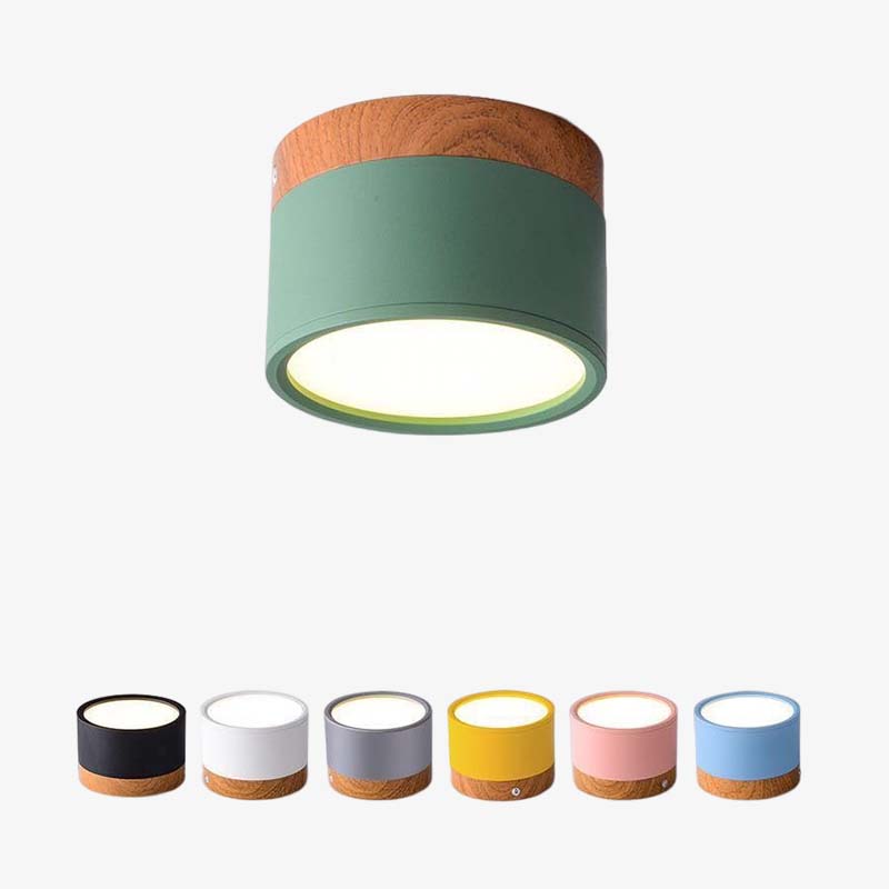 Morandi Style Modern LED Ceiling Lamp - LumiModo-Blue-5W-Warm white-State of Style