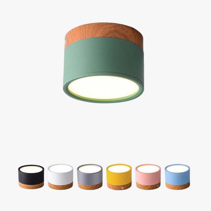 Morandi Style Modern LED Ceiling Lamp - LumiModo-Blue-5W-Warm white-State of Style