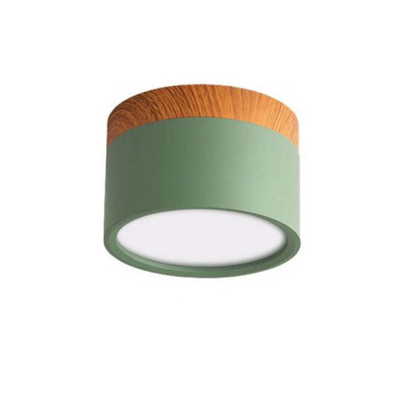 Morandi Style Modern LED Ceiling Lamp - LumiModo-Green-5W-Warm white-State of Style