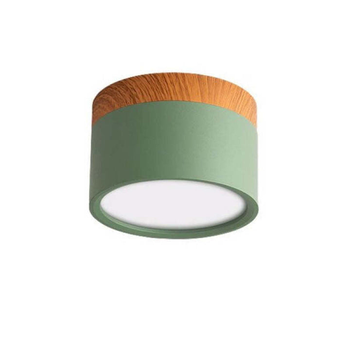 Morandi Style Modern LED Ceiling Lamp - LumiModo-Green-5W-Warm white-State of Style