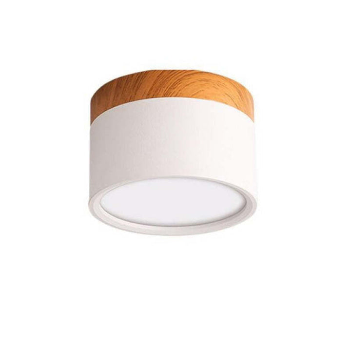 Morandi Style Modern LED Ceiling Lamp - LumiModo-White-5W-Warm white-State of Style