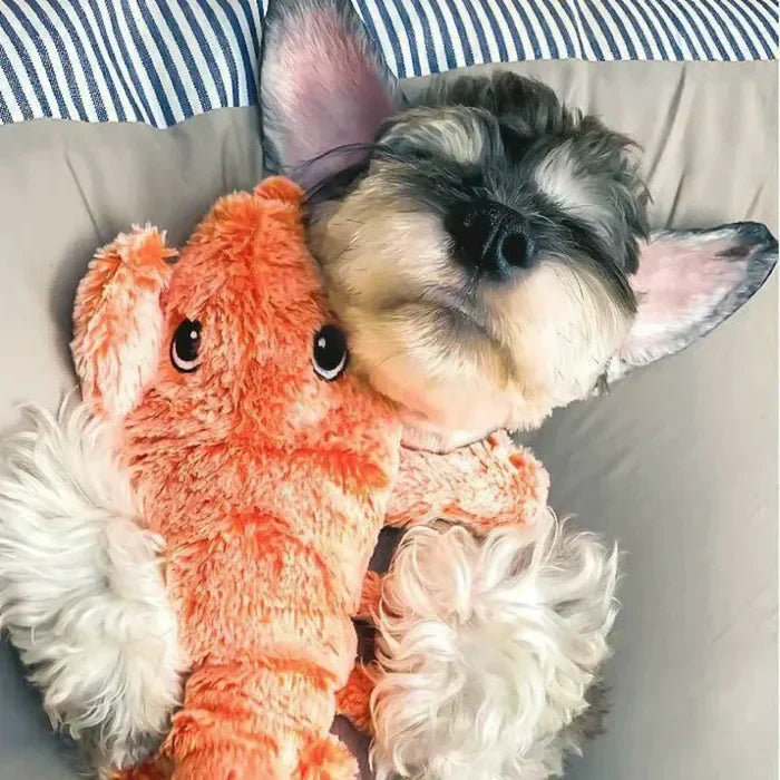 Moving Dog Toy with Motion Sensor - PlayPal-Lobster-State of Style