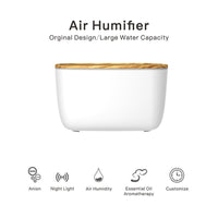 Multifunctional Household Nebuliser - MistFlow-State of Style
