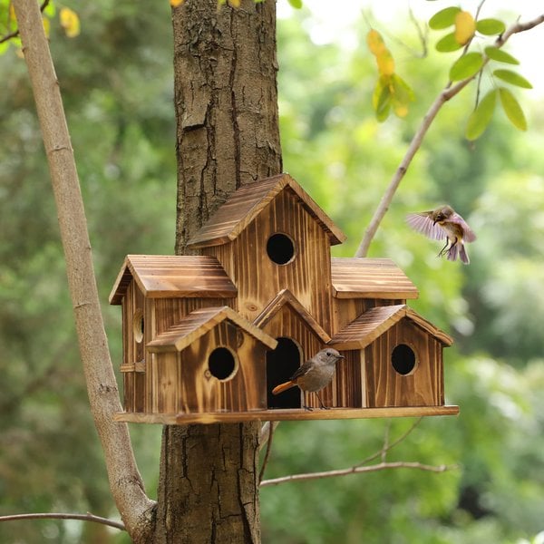 Functional wooden nesting box for garden birds – Nestora