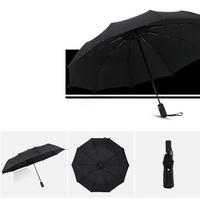 Storm-proof & Foldable Umbrella – AeroShield